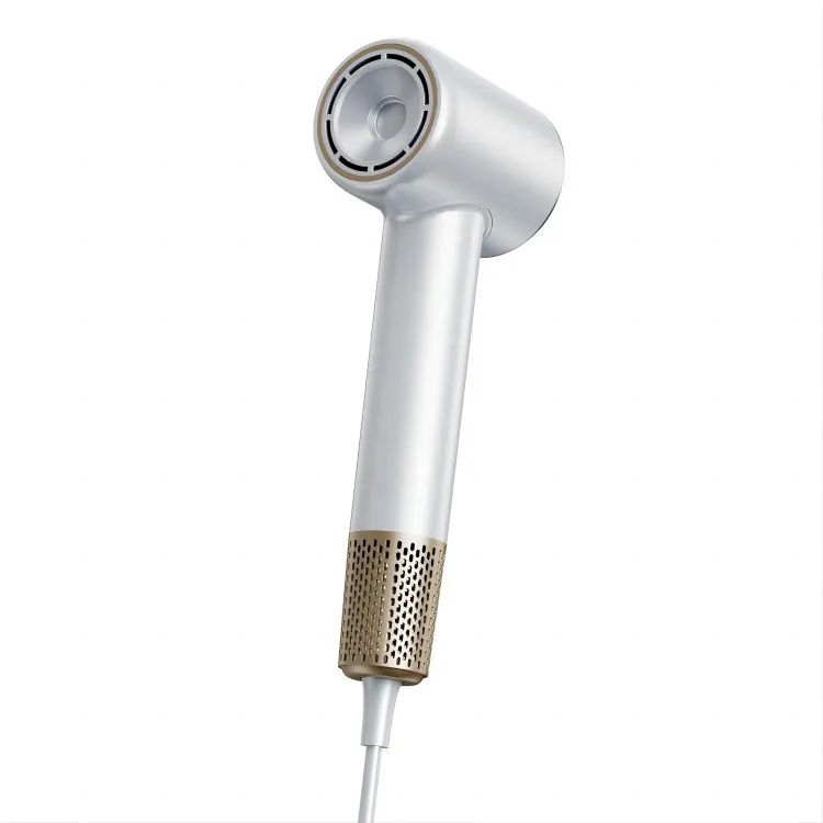 Ammattimainen henkilökohtainen hiustenkuivaaja